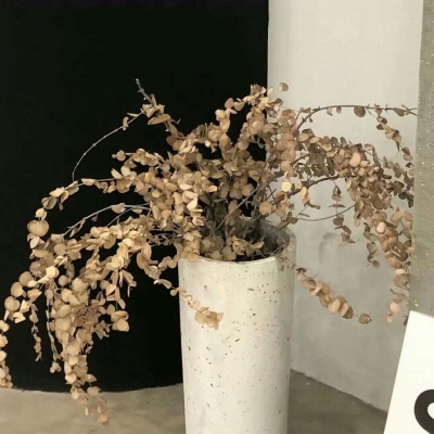 Furry黑白线稿教程福瑞交流群